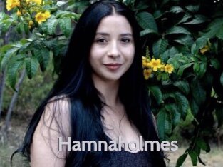 Hamnaholmes