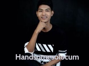 Handsomesolocum