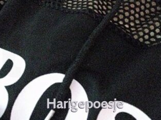 Harigepoesje