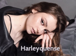 Harleyquense