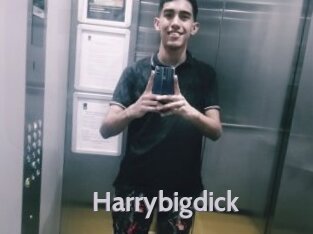 Harrybigdick