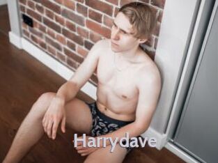 harrydave Live Cam 66