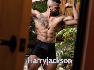 harryjackson Live Cam 66
