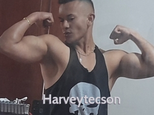 Harveytecson