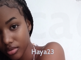 Haya23