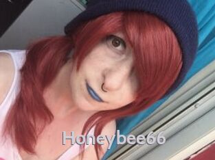 Honeybee66