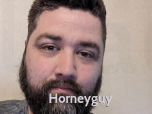 Horneyguy