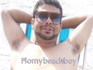 Hornybeachboy