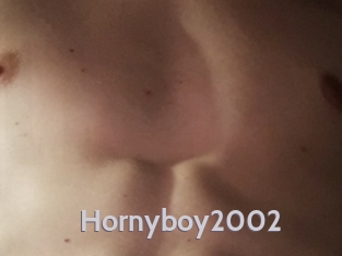 Hornyboy2002