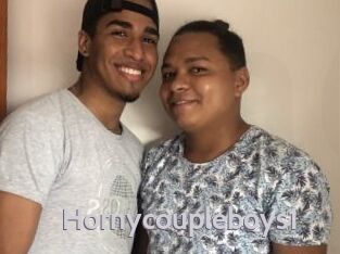 Hornycoupleboys1