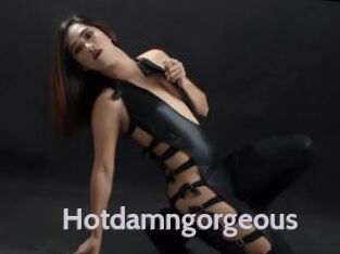 hotdamngorgeous Live Cam 66