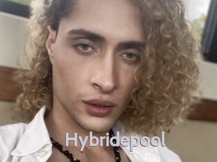 Hybridepool