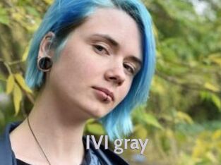 IVI_gray Live Cam 66