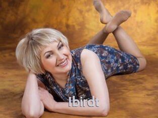 Ibirdt