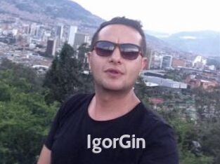 IgorGin