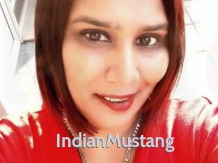 IndianMustang