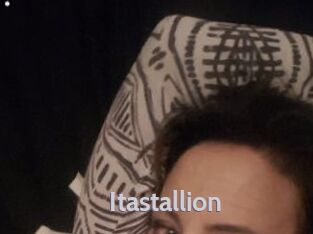 Itastallion
