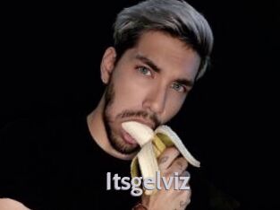 Itsgelviz