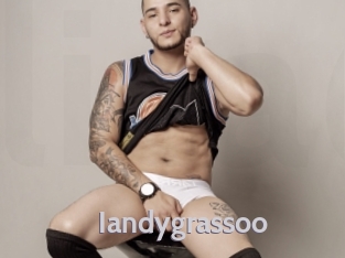 iandygrassoo Live Cam 66