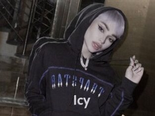 icy Live Cam 66