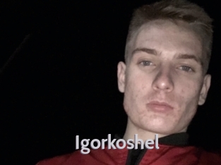 Igorkoshel