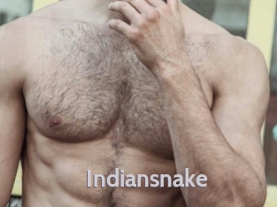 Indiansnake
