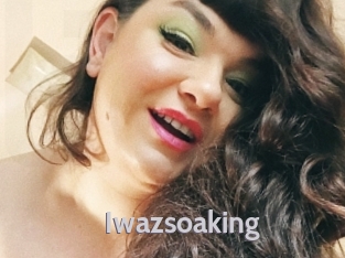 iwazsoaking Live Cam 66