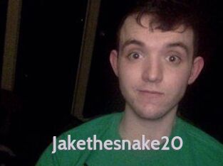 Jakethesnake20
