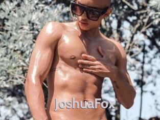 JoshuaFox