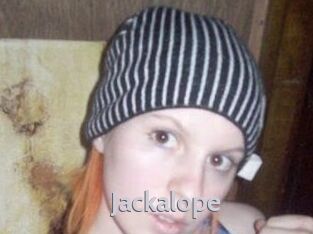 jackalope Live Cam 66