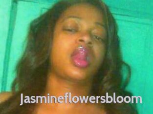 Jasmineflowersbloom