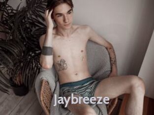 Jaybreeze