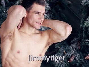 Jimmytiger