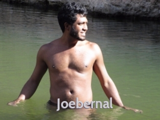 Joebernal