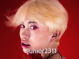 Junior2311