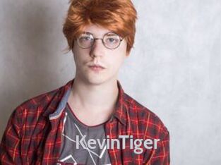 KevinTiger