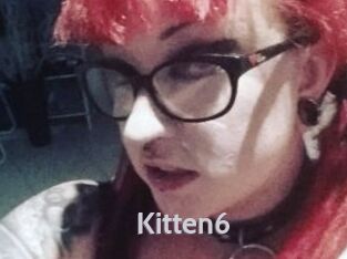 Kitten6