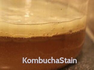KombuchaStain