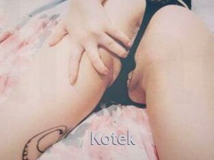 Kotek
