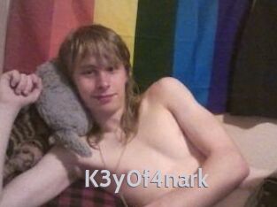 K3y0f4nark