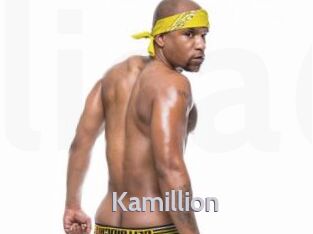 Kamillion