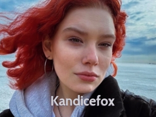 Kandicefox
