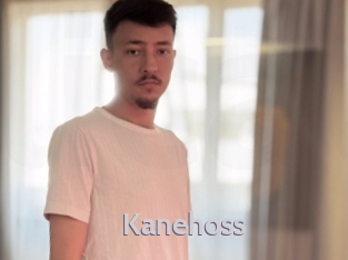 kanehoss Live Cam 66