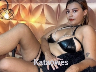 kataowes Live Cam 66