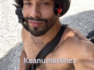 Keanumartinez