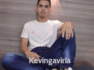 Kevingaviria
