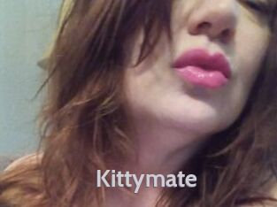Kittymate