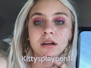 Kittysplaypen18