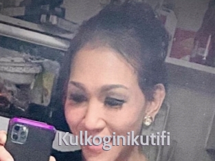 Kulkoginikutifi