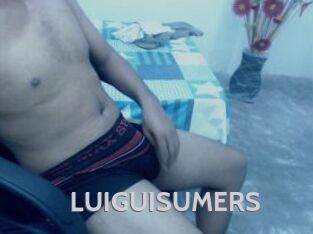 LUIGUISUMERS